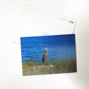 Impresión de Tarjetas Postales de Papel Personalizadas de Lujo - Product Image 6
