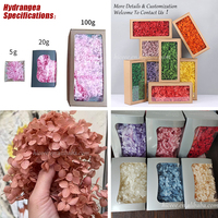 Pétales d'hortensia préservés dans une boîte carrée, fleurs séchées naturelles au toucher réel pour confettis de mariage, artisanat DIY et remplissage de vases.