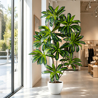 Tanaman Dracaena Real Touch Mewah dengan Pot Putih untuk Dekorasi Rumah Modern dan Lanskap Interior Kantor, Tersedia Pasokan Grosir