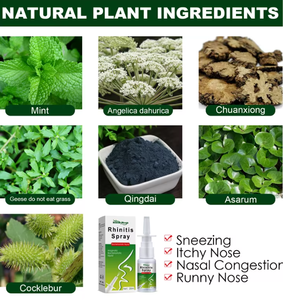 <span class=keywords><strong>Tratamiento</strong></span> para el Alivio de la Alergia Nasal, Spray Nasal Herbal para la <span class=keywords><strong>Rinitis</strong></span> y Anti-ronquidos con Vitamina E - Product Image 5