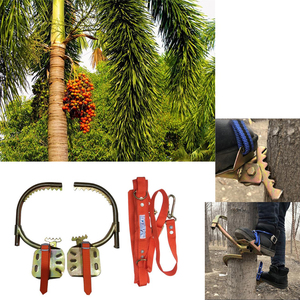 Outil d'escalade d'arbres en acier à <span class=keywords><strong>prix</strong></span> direct usine, facile à utiliser, pour l'escalade des arbres à noix de bétel et de cocotiers - Product Image 2