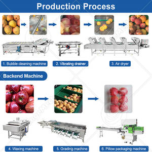 Chaîne de lavage et de tri de fruits ORME à bulles d'air pour fraises, mangues, abricots, figues et tomates - Product Image 5