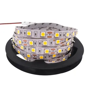 Lage spanning DC12V 5050 RGB LED light strip met ultra-hoge helderheid 60 kralen waterdichte lijm LED zachte licht strip