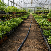 Manguera Plana Flexible de PE para Entrega al por Mayor con Estructura Adhesiva Central, Cinta Plana de Agua para Riego Agrícola