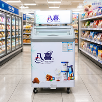 Congelador vertical continuo pequeño X-MING China con pantalla para helados, capacidad para 300 unidades