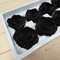 Boîte de roses éternelles noires 8 pièces, roses stabilisées naturelles pour travaux manuels DIY