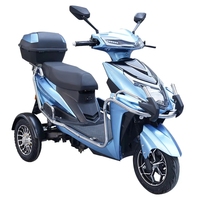 Tricycle Électrique Personnalisé pour Adultes à Carrosserie Ouverte, Scooter à 3 Roues 500W 60V 20Ah, Certification CE, Fourniture Directe Usine