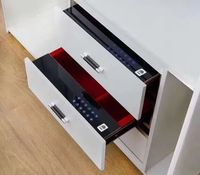 Armoire Métallique de Maison Moderne Personnalisée, Vente en Gros, avec Verrouillage par Empreinte Digitale, Compartiment Secret et Tiroir à Bijoux Caché