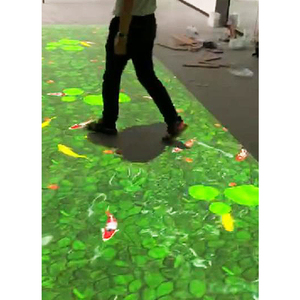 Projection de sol interactive avec multi-canal pour le <span class=keywords><strong>long</strong></span> couloir du parc - Product Image 6