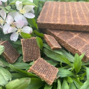 48 cubes de démarrage de feu naturels pour les feux de camp, le charbon de bois, le barbecue, le foyer, les poêles à bois, les fumoirs et le camping - Product Image 5