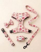 Ensemble de harnais pour chien anti-traction personnalisé, collier rembourré doux, laisse et harnais de qualité supérieure pour chien, distributeur de sacs à déjections canines, accessoires pour animaux de compagnie