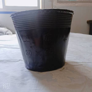 Macetas Desechables de Plástico PE de Alta Densidad, Negras, Suaves y Económicas para Cultivo de Plantas y Flores en Viveros - Product Image 4