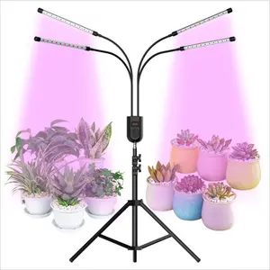 Phytolamps à spectre complet Usb Led élèvent la lumière avec minuterie Clip de bureau Phyto lampes pour plantes d'intérieur fleurs boîte de culture semis