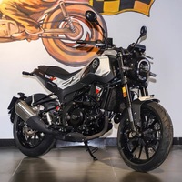 Moto d'occasion Benelli Leoncino 250, style rétro, type scrambler, haute garde au sol, à essence