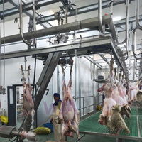 Ligne d'abattage de chèvres d'abattoir de moutons halal complète équipement de boucherie d'abattoir de religion islamique
