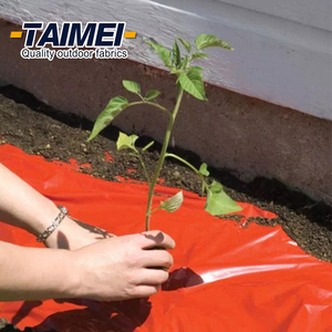 Film de paillis en plastique biodégradable <span class=keywords><strong>pour</strong></span> culture agricole, couverture de paillis rouge <span class=keywords><strong>pour</strong></span> fraise et tomate - Product Image 1