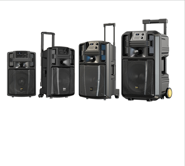 Rechargeable Bluetooth Trolley Speaker with Microphone Input, High Power Portable Sound System for Outdoor Events