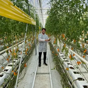 Greenhouse sistema de gotejamento hidropônico, morango bolsas de crescimento para cultivo de morango tomate melancia