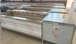 Machine de lavage et de pelage pour racines et tiges, fruits et légumes, machine à polir les carottes à brosse souple, équipement de pelage de pommes de terre - Product Image 4