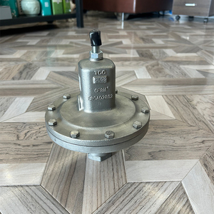 Régulateur de la série MR95H, neuf et original, à prix réduit, haute performance pour gaz industriels et contrôle - Product Image 3