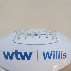 Ballon de rugby personnalisé de haute qualité, léger et durable, pour les écoles, les clubs, les sports de plein air, avec logo, couleurs et tailles personnalisés - Product Image 6