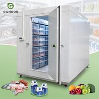 Conteneur frigorifique portable de 50 tonnes, 20 pieds, pour stockage de pommes de terre, chambre froide mobile, 20 pieds, 40 pieds, pour exposition à froid