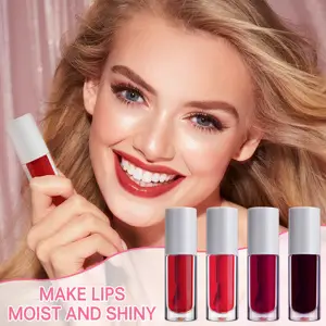 OEM Private Label Organic Waterproof Matte Plump Vegan Liquid Lipstick 5g Mat Gloss Lip Tint