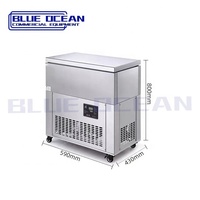 Machine commerciale de fabrication de briques de glace en acier inoxydable à usage commercial à température unique disponible différentes tailles 6 29