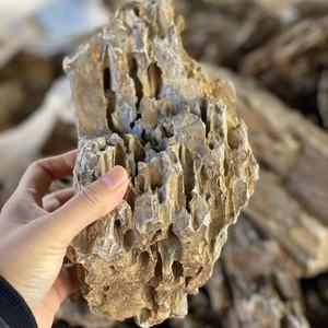 5 50cm fish tank dragon bone <strong>stone</strong> brown decorative <strong>stone</strong> for <strong>aquarium</strong> <strong>tiger</strong> <strong>aquarium</strong> <strong>tiger</strong> skin landscaping fish tank <strong>tiger</strong> <strong>aquarium</strong> YUNQI - Product Image 2