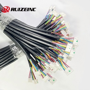 Pemasok perakitan kabel profesional kualitas baik 2 Pin harnes kabel peralatan kustom Terminal - Product Image 2