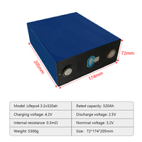Cellules de batterie lithium-ion prismatiques LiFePO4 CATL 3.2V 320Ah, 6000 cycles, pour système de stockage d'énergie, avec suppléments 302Ah 340Ah