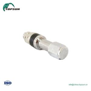 <span class=keywords><strong>Valve</strong></span> de pneu métallique sans chambre à air en aluminium, meilleure correspondance TR48E TR53E - Product Image 4