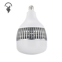 Éclairage industriel Radiateur à ailettes en aluminium Haute luminosité Haute puissance 80W Prix bas Ampoule