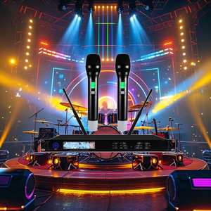 KTV profesional, Bar, Karaoke, escenario, micrófono inalámbrico, micrófono <span class=keywords><strong>de</strong></span> <span class=keywords><strong>mano</strong></span> <span class=keywords><strong>de</strong></span> <span class=keywords><strong>segunda</strong></span> <span class=keywords><strong>mano</strong></span> - Product Image 2