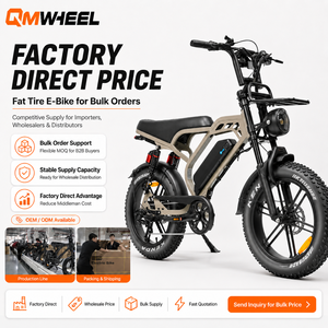 QMWHEEL V20 Limited bicicleta eléctrica 48V, modelo de bicicleta eléctrica con llantas gruesas para importadores, suministro al por mayor, proveedor OEM B2B - Product Image 1