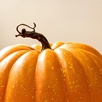 Mini figurine citrouille d'Halloween en résine, ornement saisonnier, fantôme, sorcière, chat noir, décoration de table, cadeau