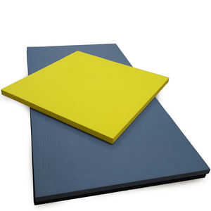 Tapis <span class=keywords><strong>de</strong></span> Judo <span class=keywords><strong>Tatami</strong></span> Unisexe avec Fond Antidérapant 250kg/m3 pour Enfants Karaté MMA Jiu-Jitsu Kendo Adult Wrestling en EVA PU Sponge - Product Image 6