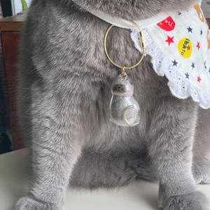 手作りペット毛皮メモリアルキーチェーン猫型透明カプセルカスタマイズ可能なヘア充填 - Product Image 6