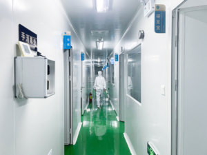 Chuột ace2 angiotensin-chuyển đổi Enzyme 2 Elisa cụ - Product Image 4