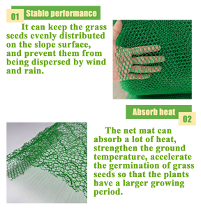 Chất lượng cao 3D geomat nhựa lưới cho thảm thực vật bảo vệ geonet 3D thảm thực vật nhựa Net - Product Image 3