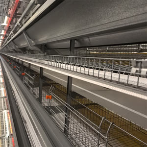 Equipo automático de sistema de jaula con batería para gallinero para pollos de 10000 capas Proveedor de fábrica de granja avícola Nueva condición - Product Image 2