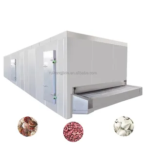 Tunnel type quick freezing machine French fries and vegetables flash freeze machine