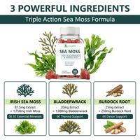 Gummies de mousse de mer à marque privée avec fucus vésiculeux et racine de bardane pour le soutien immunitaire et la détoxification de la thyroïde