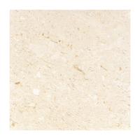Dalles de pavé en pierre de coquille Myra, 100% marbre naturel, vente en gros, personnalisables, pour terrasse de piscine, intérieur/extérieur, modernes, finition polie, décoratives