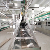Ligne de machine d'abattage de volailles automatique, capacité de 500 à 1000 oiseaux par heure, équipement d'abattoir avicole