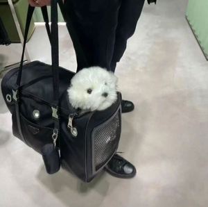 Free Sample Brand like design pet <b>backpack</b> Black <b>carrier</b> classic luxury dog and <b>cat</b> travel handbag - Product Image 5