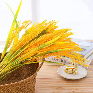 <span class=keywords><strong>Épi</strong></span>s <span class=keywords><strong>de</strong></span> <span class=keywords><strong>blé</strong></span> artificiels branche <span class=keywords><strong>de</strong></span> <span class=keywords><strong>blé</strong></span> <span class=keywords><strong>de</strong></span> riz doré naturel <span class=keywords><strong>bouquet</strong></span> <span class=keywords><strong>de</strong></span> branche <span class=keywords><strong>de</strong></span> paddy Durable pour <span class=keywords><strong>mariage</strong></span> et hôtels et décoration <span class=keywords><strong>de</strong></span> la maison - Product Image 2
