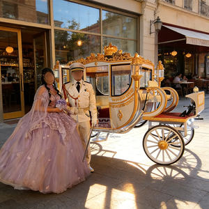 Gran Oferta: Carruaje Eléctrico de Recepción para Bodas, Estilo Europeo Real William Prince, para Desfiles y Eventos - Product Image 4