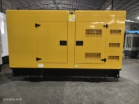 Groupe électrogène diesel silencieux 110 kW 138 kVA 6BTA5.9-G2 triphasé 120 kW 150 kVA 200 kW 250 kW pour l'agriculture