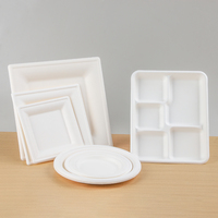Warmpack Plateau et Assiette en Bagasse Écologiques Compostables Jetables Qualité Alimentaire pour Traiteur et Plats à Emporter Vente en Gros